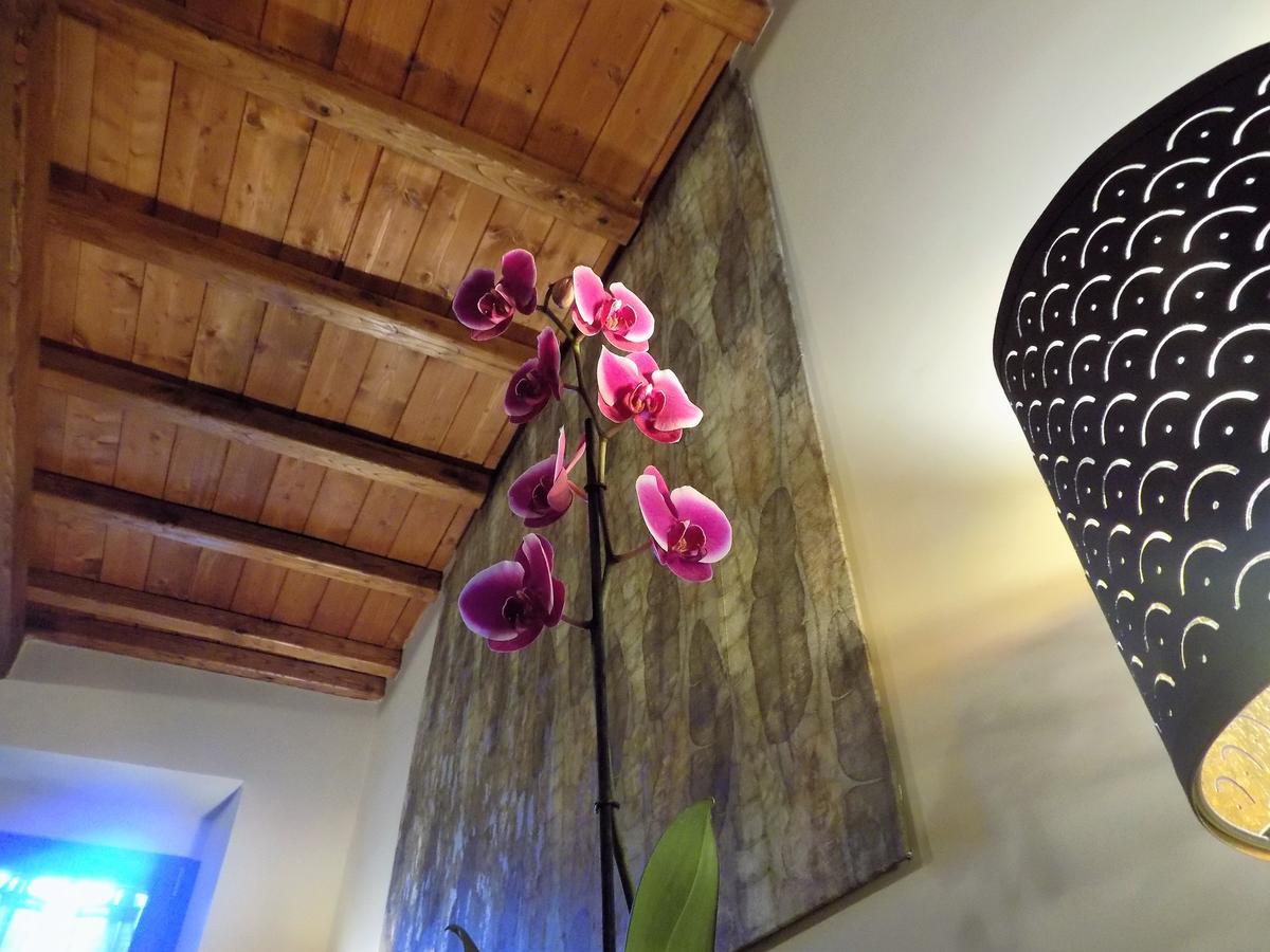 Bed and Breakfast Al Cardinale Viterbo Zewnętrze zdjęcie